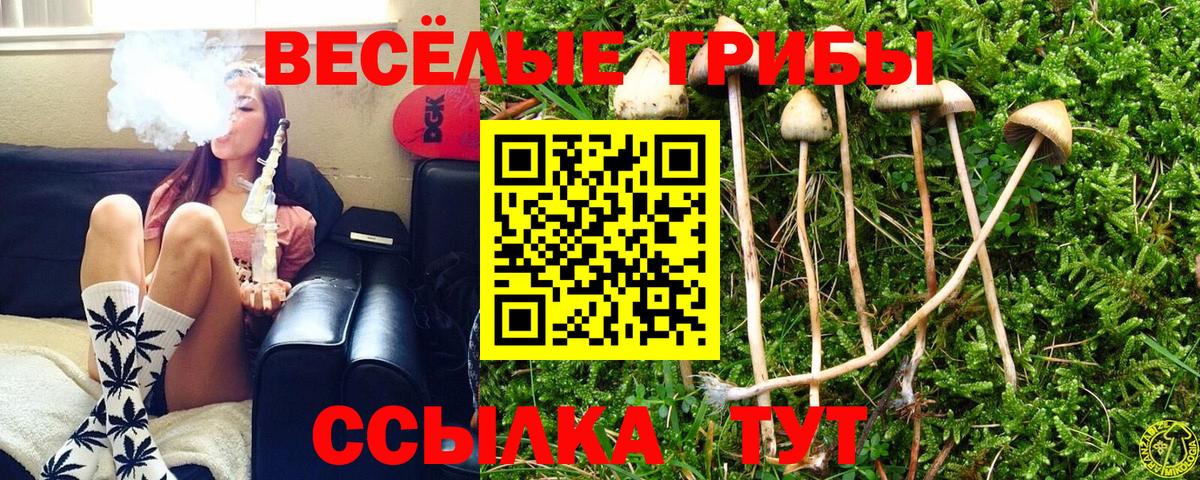 Псилоцибиновые грибы мицелий  Вход с VPN  Урай 